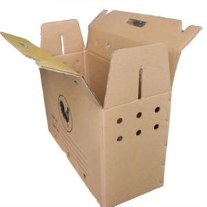 Thùng carton đựng gà đá, thùng vận chuyển gà, thùng giấy đựng gà Thùng carton 5 lớp